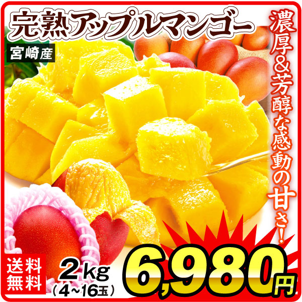 マンゴー 2kg ふぞろいアップルマンゴー 宮崎産 送料無料 食品