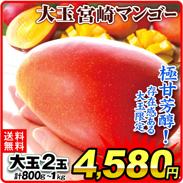 マンゴー 2玉 大玉アップルマンゴー 宮崎産 送料無料 食品
