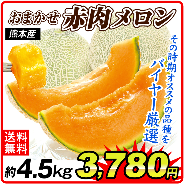メロン 約4.5kg 厳選メロン・赤肉 熊本産 送料無料 食品