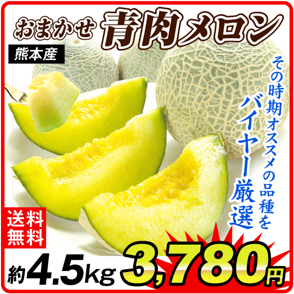 メロン 約4.5kg 厳選メロン・青肉 熊本産 送料無料 食品