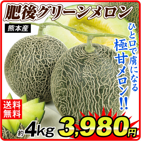 メロン 4kg 肥後グリーンメロン 熊本産 送料無料 食品