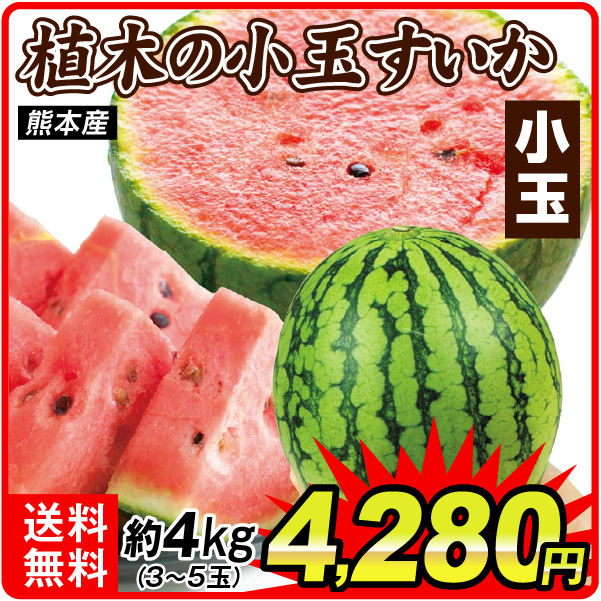 スイカ 約4kg 植木の小玉すいか 熊本産 送料無料 食品
