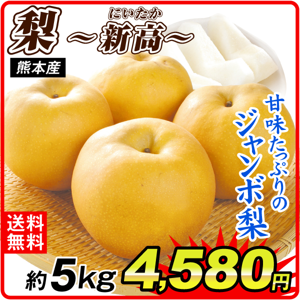 梨 約5kg 新高梨 熊本産 送料無料 食品