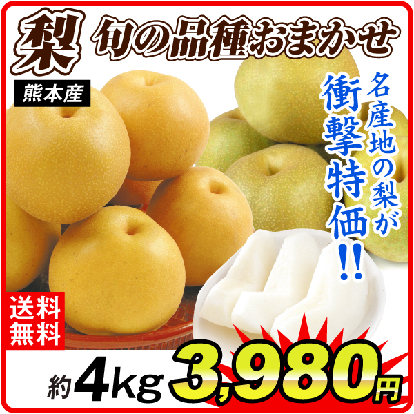 梨 約4kg ご家庭用 おまかせ和梨 熊本産 送料無料 食品