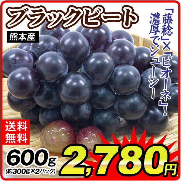 ぶどう 約600g（300g×2パック） ブラックビート 熊本産 種なし 大粒 黒ぶどう 葡萄 果物 送料無料 食品