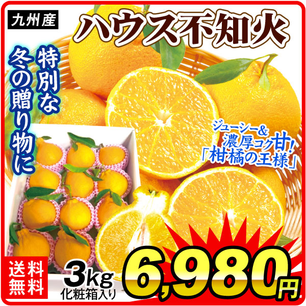 みかん 九州産 ハウス不知火オレンジ 3㎏ 化粧箱 デコポン 温室栽培 年内発送 冬ギフト 柑橘 送料無料 食品