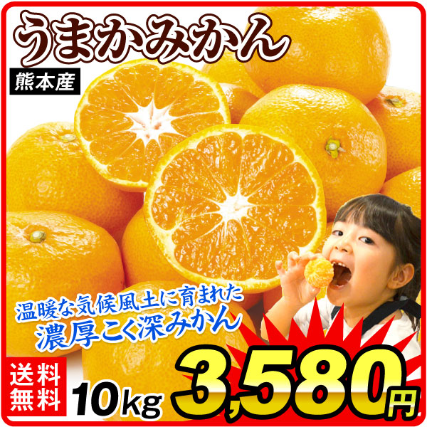 みかん 熊本産 うまかみかん 10㎏ 送料無料 食品