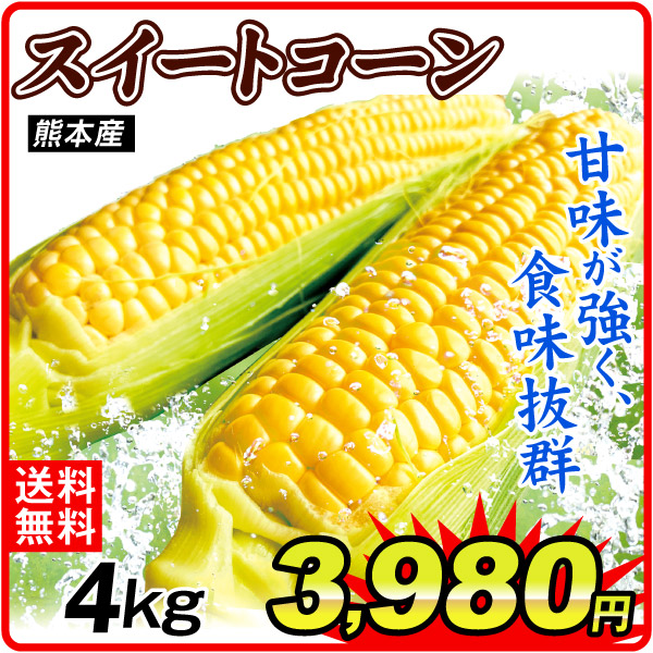 とうもろこし 4㎏ 大特価 スイートコーン 熊本産 冷蔵便 送料無料 食品