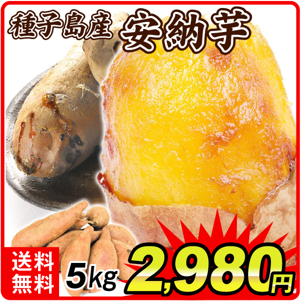 さつまいも 5kg 安納芋 正品 種子島産 送料無料 食品