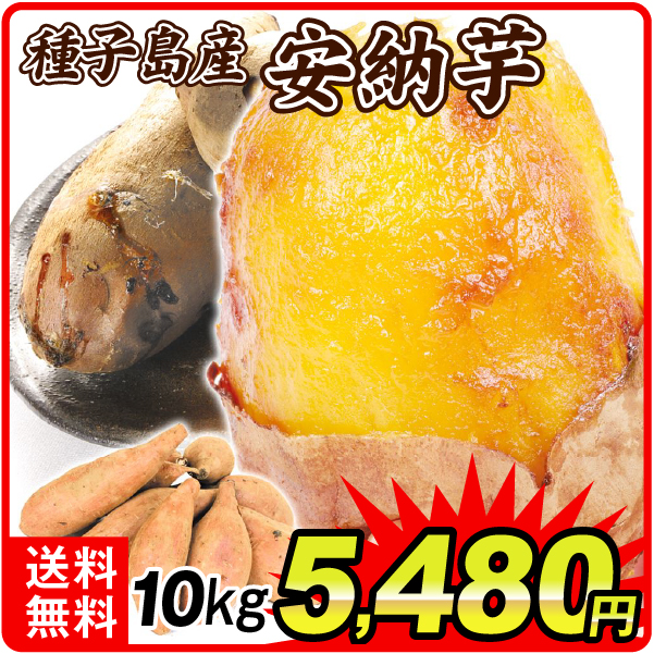 さつまいも 10kg 安納芋 正品 種子島産 送料無料 食品