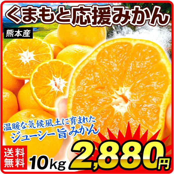 みかん 10kg くまもと応援みかん 熊本産 ご家庭用 サイズ混合 温州みかん 送料無料 食品