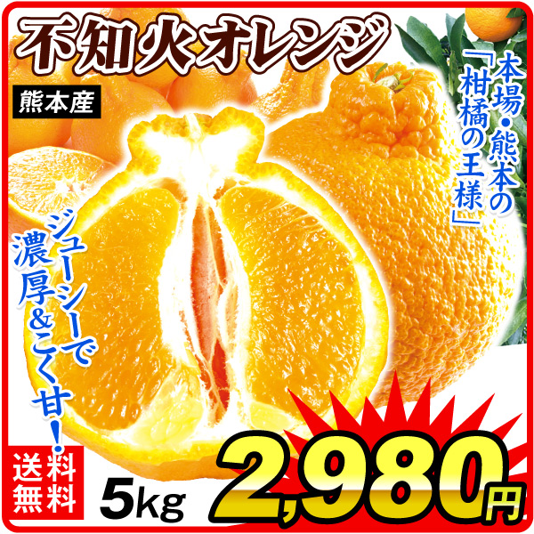 みかん 5kg 不知火オレンジ 熊本産 ご家庭用 デコ しらぬひ デコポンと同じ品種 蜜柑 柑橘 果物 フルーツ 送料無料 食品