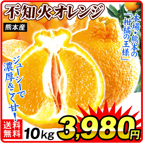 みかん 10kg 不知火オレンジ 熊本産 ご家庭用 デコ しらぬひ デコポンと同じ品種 蜜柑 柑橘 果物 フルーツ 送料無料 食品