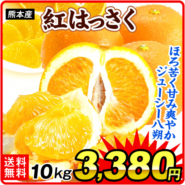 みかん 10kg 紅はっさく ご家庭用 熊本産 八朔 かんきつ 送料無料 食品