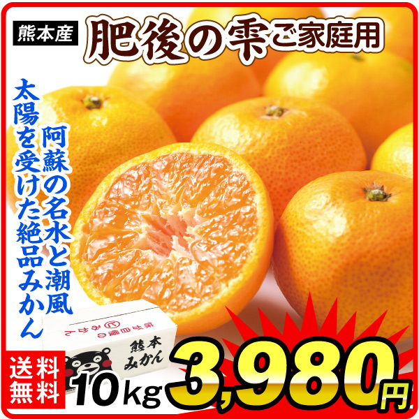 みかん 10kg 肥後の雫 熊本産 ご家庭用 蜜柑 温州ミカン 送料無料 食品