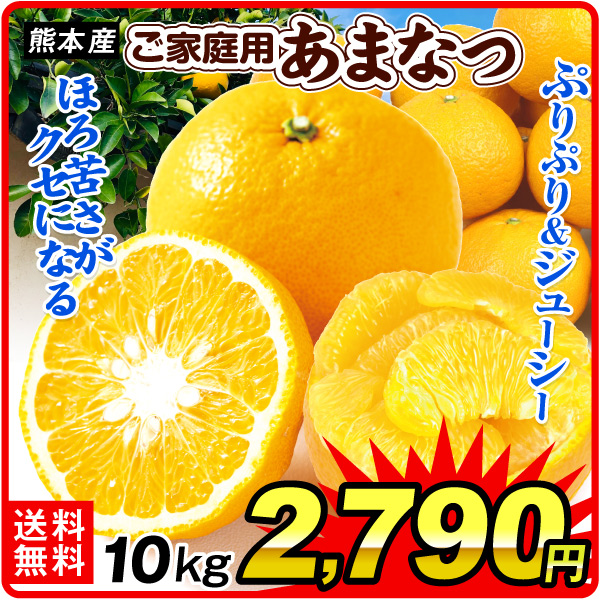 みかん 10kg 甘夏 ご家庭用 熊本産 春柑橘 あまなつ ジューシーほろにが 送料無料 食品
