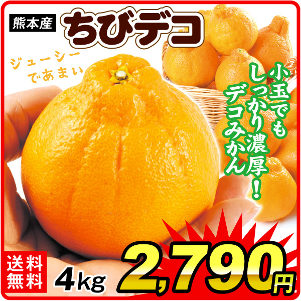 みかん 4kg ちびデコ 熊本産 1箱 不知火オレンジ 小玉サイズ ご家庭用 柑橘の王様 送料無料 食品
