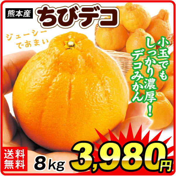 みかん 8kg ちびデコ 熊本産 4kg×2箱 不知火オレンジ 小玉サイズ ご家庭用 柑橘の王様 送料無料 食品