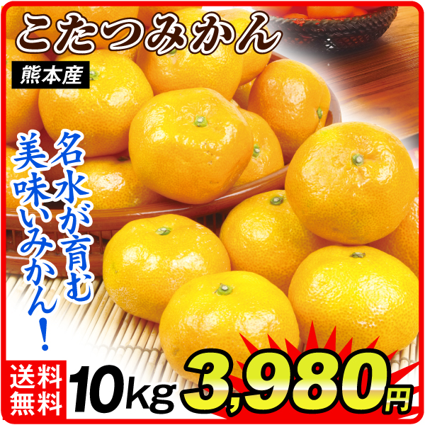 みかん 10kg こたつみかん 熊本産 ご家庭用 温州ミカン 送料無料 食品