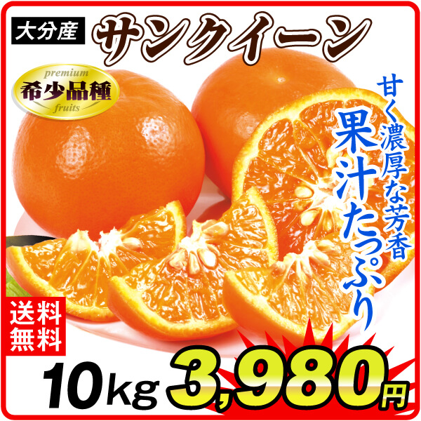 みかん 10kg サンクイーン 大分産 ご家庭用 セミノール ブランド柑橘 濃厚で芳醇な果汁たっぷり 送料無料 食品