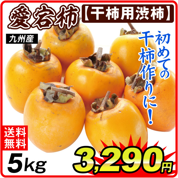 柿 約5kg 愛宕柿 【干柿用渋柿】 九州産 送料無料 食品