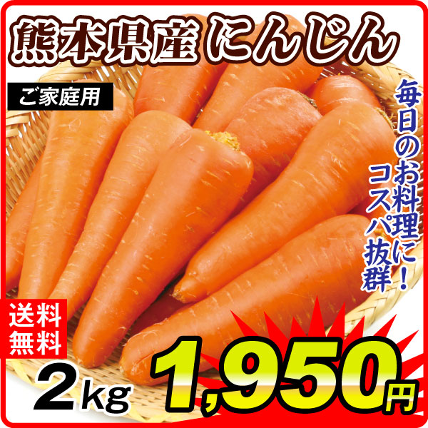 にんじん 2kg ご家庭用 にんじん 熊本産 送料無料 食品