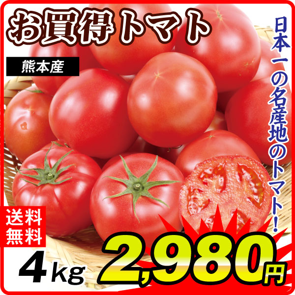 トマト 約4kg お買得トマト 熊本産 送料無料 食品