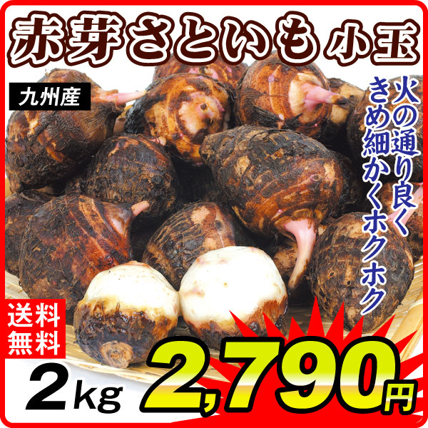 里いも 2kg 赤芽さといも 小玉 九州産 送料無料 食品