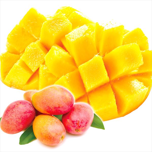 マンゴー 1kg アップルマンゴー 台湾産 ご家庭用 芒果 冷蔵便 送料無料 食品