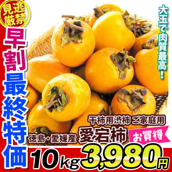 福岡産富有柿10kg 柿 10kg 富有柿 福岡・奈良産 ご家庭用 送料無料 食品