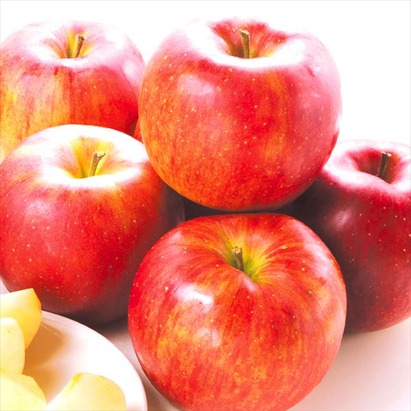 りんご 10kg シナノスイート 青森産 送料無料 食品
