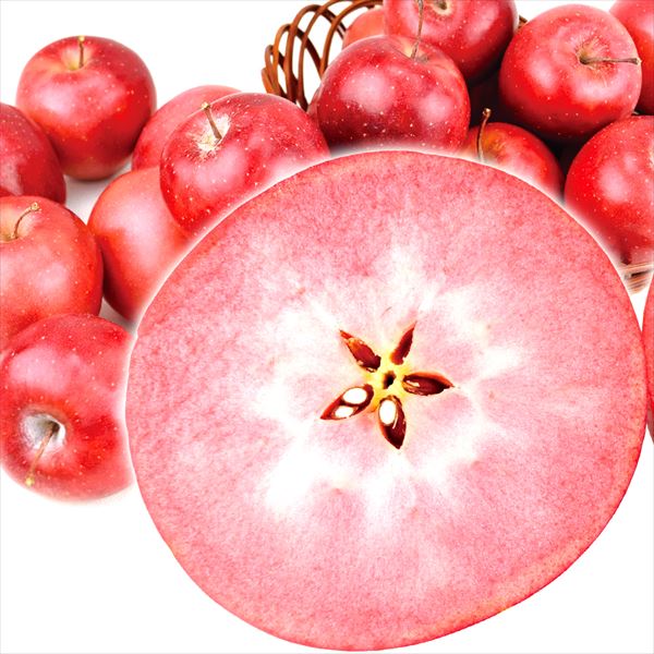 りんご 3kg レッドキュー 青森産 希少品種 送料無料 食品