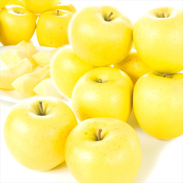 りんご 10kg シナノゴールド 長野産 送料無料 食品