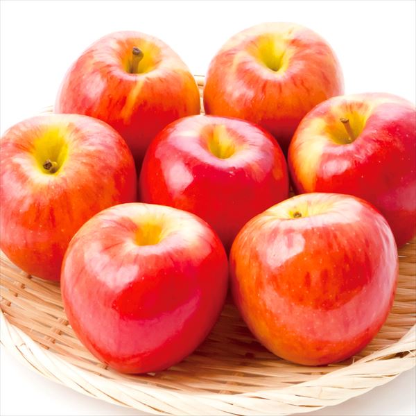 りんご 2kg ニュージーランド産 夏りんご 送料無料 食品