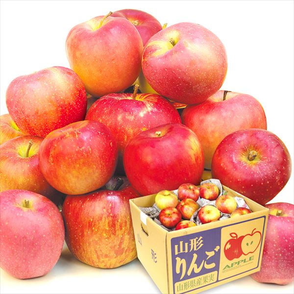 りんご 10kg お楽しみ赤りんご 山形産 送料無料 食品