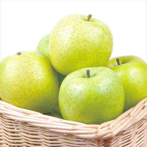 りんご 10kg 王林 青森産 ご家庭用 送料無料 食品