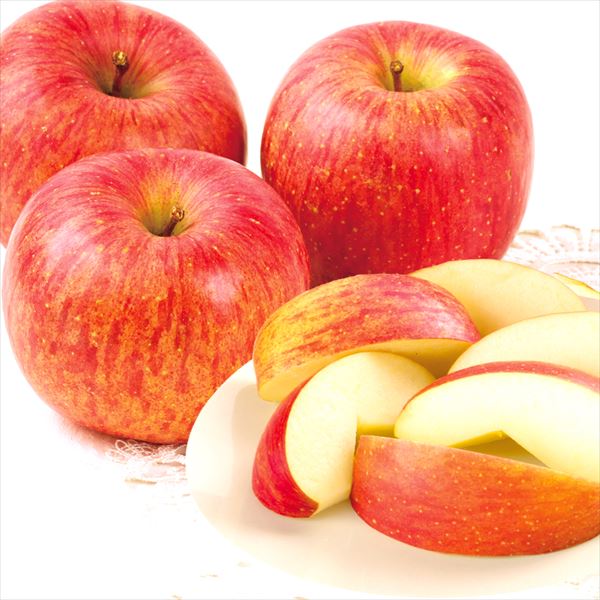 りんご 10kg みちのくサンふじ 山形産 送料無料 食品
