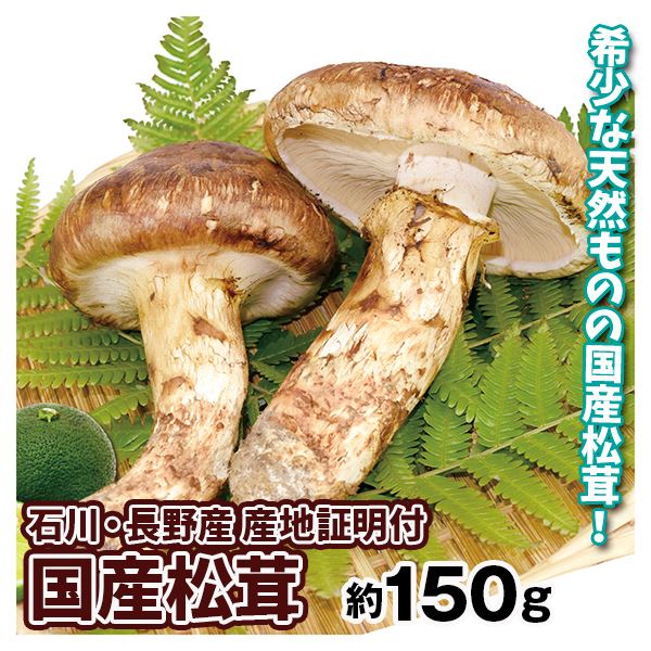 天然きのこ/松茸/国産/524g/その131 食品・飲料・酒