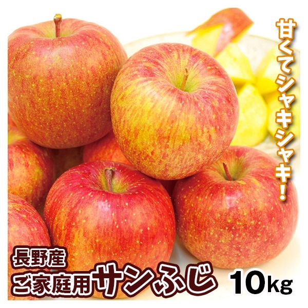 りんご 10kg ご家庭用 サンふじ 長野産 送料無料 食品