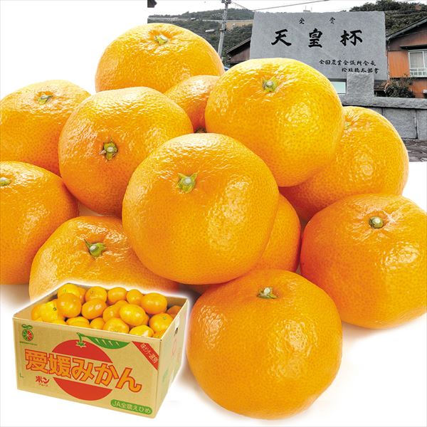 みかん 9kg 川上みかん 愛媛産 送料無料 食品