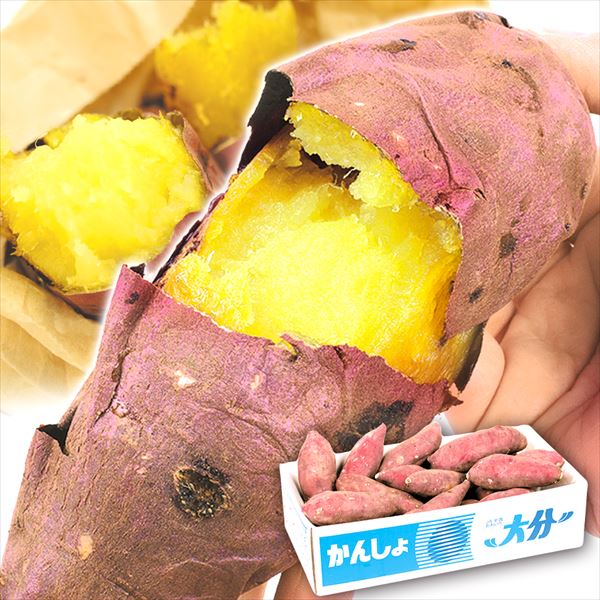 さつまいも 5kg 甘太くん 大分産 送料無料 食品