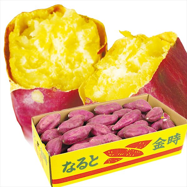 さつまいも 5kg なると金時 徳島産 送料無料 食品