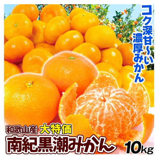 みかん 10kg 大特価 南紀黒潮みかん 和歌山産 ご家庭用 送料無料 食品