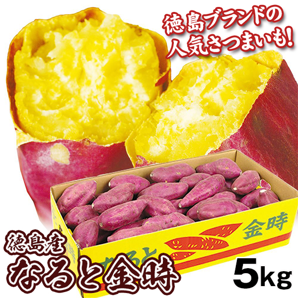 さつまいも 5kg 大特価 なると金時 徳島産 ブランドいも 送料無料 食品