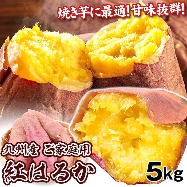 【2025年1月発送】さつまいも 5kg 大特価 紅はるか 九州産 ご家庭用 蜜芋 しっとり 送料無料 食品