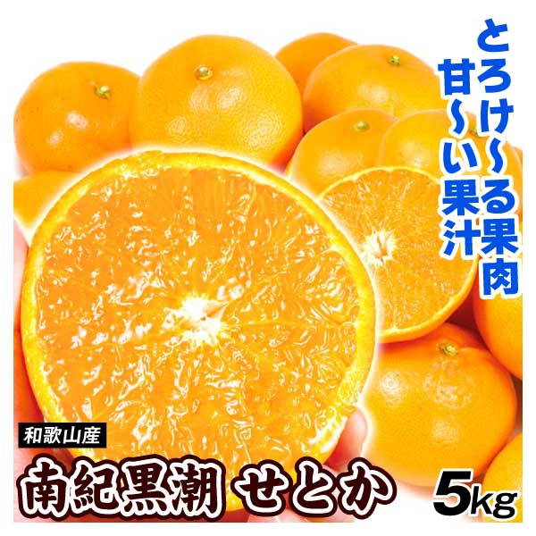 みかん 和歌山産 南紀黒潮せとか 5kg 送料無料 食品