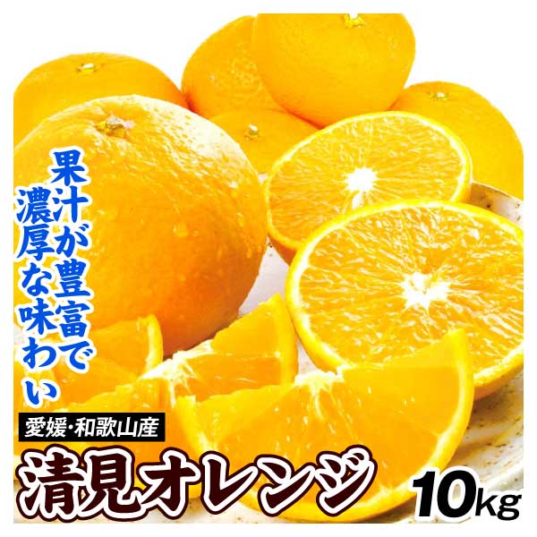 みかん 愛媛・和歌山産 大特価 清見オレンジ 10kg 送料無料 食品