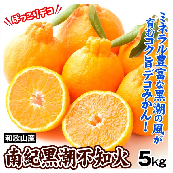 みかん 和歌山産 南紀黒潮 不知火オレンジ 5kg ご家庭用 デコポンと同じ品種 送料無料 食品
