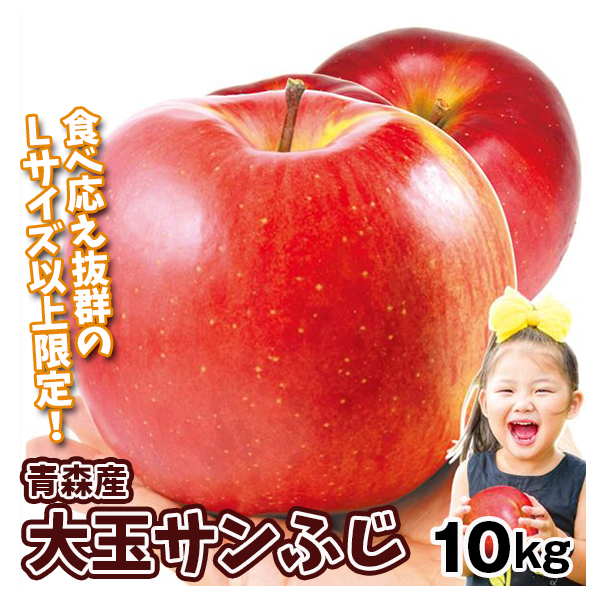 りんご 青森産 大玉サンふじ 10kg 送料無料 食品