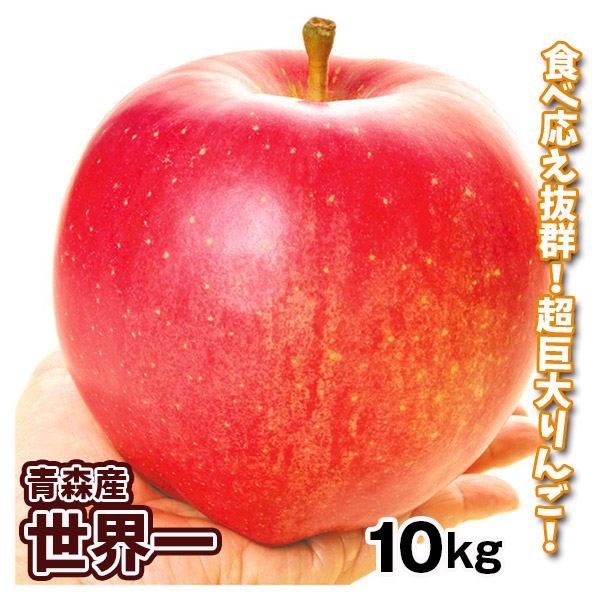 りんご 青森産 世界一 10kg 大玉りんご 送料無料 食品